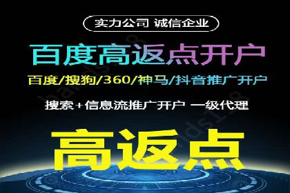 百度优化推广案例：案例分析及优化建议